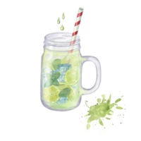 vattenfärg illustration av mojito cocktail steg förbi steg. kalk skiva, mynta, is kuber, dricka sugrör, glas burk, tonic droppar. förberedelse instruktion, steg 4 png