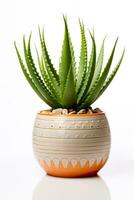 Aloe vera in ceramic pot isolated on white background photo