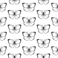 mariposa sin costura modelo. decorativo mosca insecto antecedentes. negro y blanco botánico textura vector