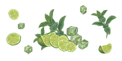 Watercolor set of Ice Cubes, Lime slices, Mint sprig. Composition and individual elements. Botanical illustration for menu, celebration design, cocktail party png