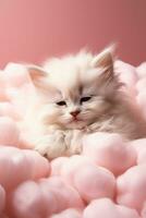 un juguetón gatito siesta en un mullido nube cama aislado en un rosado degradado antecedentes foto