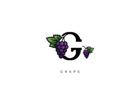 FRUIT VECTOR - GRAPE