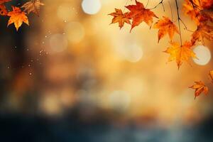 Autumn background with defocused falling maple leaves photo