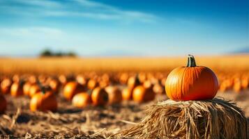 A picturesque pumpkin patch with colorful gourds and hay bales background with empty space for text photo