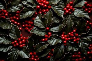 Glistening holly leaves create a striking low relief against a backdrop of festive red hues photo