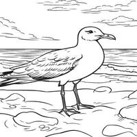 a friendly seagull standing on a sandy beach vector
