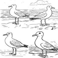 a friendly seagull standing on a sandy beach vector