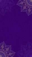 Luxurious Rich Violet Rotating Line Mandala Simple Looping Animation Blank Vertical Video Background