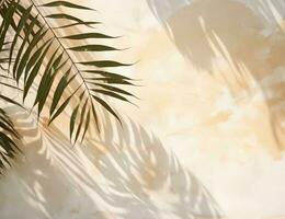 Beige background with palm leaves photo