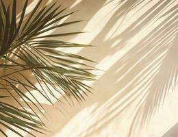 Beige background with palm leaves photo