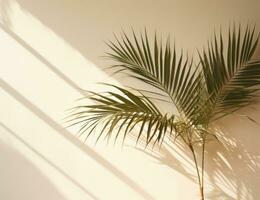 Beige background with palm leaves photo