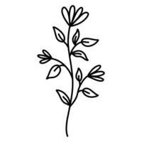 Cute branch with flowers and leaves isolated on white background. Vector hand-drawn illustration in doodle style. Perfect for cards, logo, decorations, various designs. Botanical clipart.