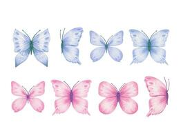 Set with pink and blue butterflies, watercolor illustration. vector