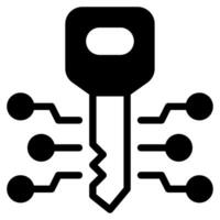 Encryption Key icon vector
