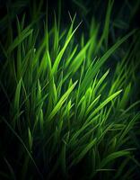 Green grass detail, created with generative AI photo