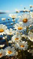 Top view White blooming chamomile daisies against pastel blue sky, sun rays Vertical Mobile Wallpaper AI Generated photo