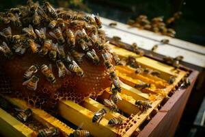 de cerca apicultor con panal marco, abejas elaboración líquido oro, un simbiótico danza ai generado foto