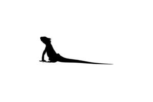 Silhouette of Iguana Reptiles, a genus of herbivorous lizards that are native to tropical areas of Mexico, Central America, South America, and the Caribbean. Vector Illustration