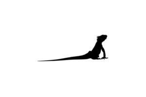 Silhouette of Iguana Reptiles, a genus of herbivorous lizards that are native to tropical areas of Mexico, Central America, South America, and the Caribbean. Vector Illustration