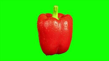 Red pepper on green background video