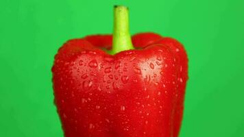 Red pepper on green background video