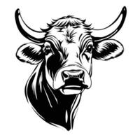 Cow's face, black and white image vector