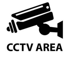 Vector flat illustration of CCTV area symbol isolated on background