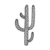 linda garabatear de saguaro cactus desde mexico o salvaje Oeste Desierto con mano dibujado describir. vector sencillo cactus flor con espinas en dibujos animados estilo. mexicano espinoso exótico planta aislado en blanco antecedentes.