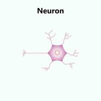 molecular resumen estructura antecedentes. científico vector ilustración con molécula ADN médico, Ciencias y tecnología concepto para bandera modelo o encabezamiento.