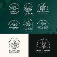 modern minimalist line art botanical baho logo design vector