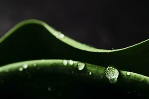 verde hoja con agua gotas como ambiental fondo, naturaleza foto