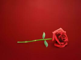 hermosa rojo Rosa en un rojo antecedentes. foto