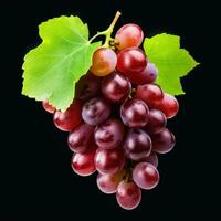 fresh grape cluster with leaves, generative ai photo