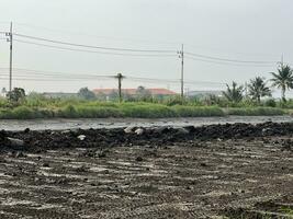 dry rice field in the countryside photo