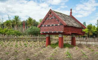 Maori garden in Hamilton gardens an iconic garden in Hamilton, New Zealand. photo