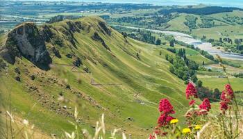 Te Mata Peak an iconic tourist attraction place in Hawke's Bay region of North Island, New Zealand. photo