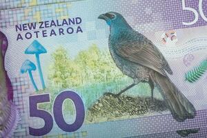 Closeup of New Zealand banknote 50 dollars. photo