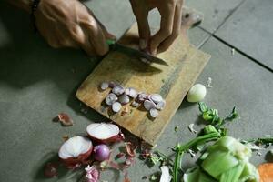 cocinando, rebanado crudo chalote Condimento en hormigón antecedentes foto