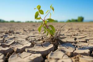 From drought to green growth the description of climate change photo