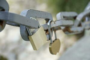 Many Padlocks Closed on Bridge Fence - Love Concept photo