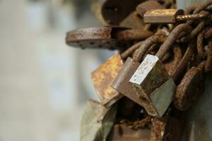 Many Rusty Padlocks Closed on Bridge Fence - Love Concept photo