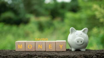 White piggy bank on nature background. Concept of savings and investment. photo