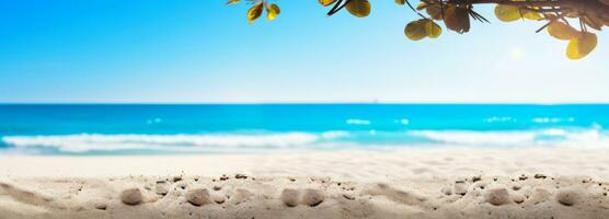 Sunny beach sand and trees by the ocean photo