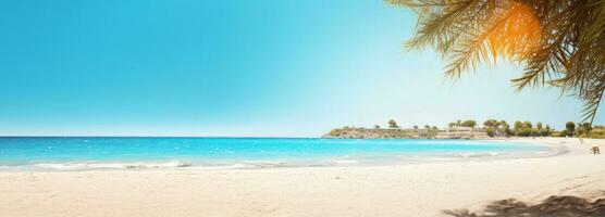 Sunny beach sand and trees by the ocean photo