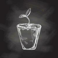 Hand-drawn sketch of plant in biodegradable peat moss pot on chalkboard background. Eco concept. Doodle vector outline doodle icon.