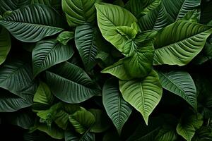 Tropical leaves lay flat, forming a vibrant and serene natural backdrop AI Generated photo