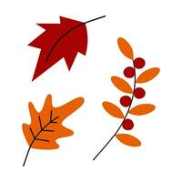 Vector set of 3 design elements of autumn leaves and twigs with berries in trenndy seaonal shades