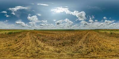 360 hdri panorama among dry farming field with clouds on blue sky with sun in hot day in equirectangular spherical seamless projection, use as sky replacement, game development as skybox or VR content photo