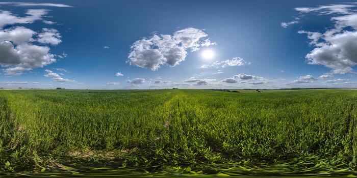 spherical 360 hdri panorama among green grass farming field with clouds on blue sky with sun in equirectangular seamless projection, use as sky replacement, game development as skybox or VR content photo
