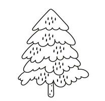 conifer pine fir christmas needle trees doodle vector illustration
